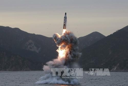 Международное сообщество призывает КНДР прекратить запуск ракет - ảnh 1